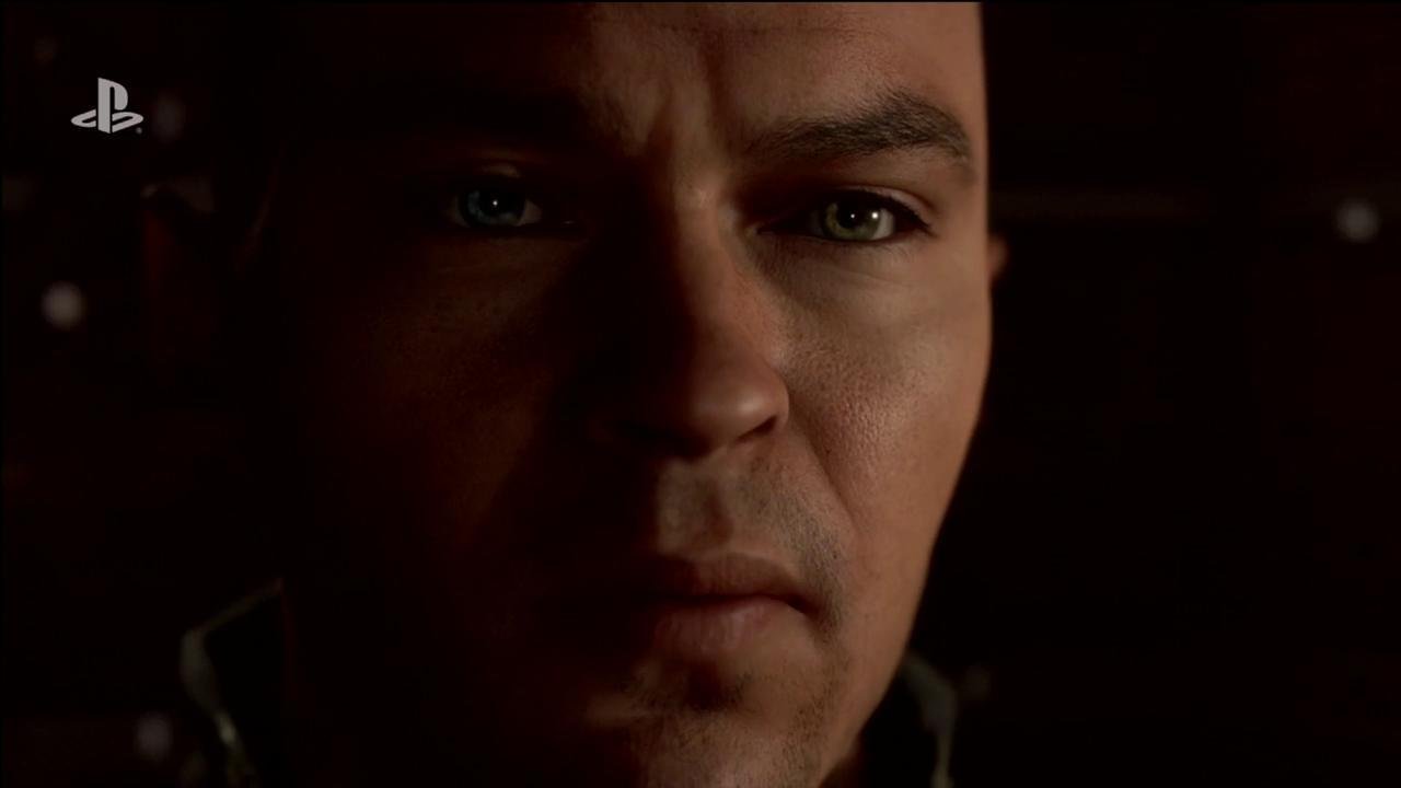 森林 年度版 截图19